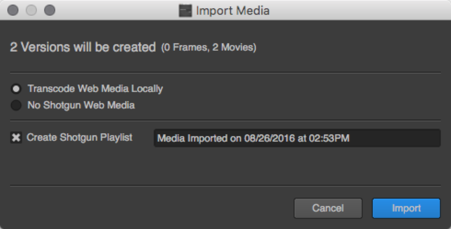 Import Media summary window
